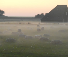 Hoeve De Waddel