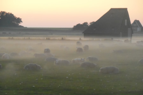 Hoeve De Waddel